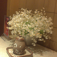 20120524�ϵ���