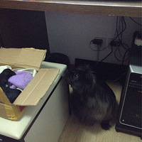 ����ֻ�ճ�����С�ڹ�������(����Ƭ��