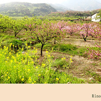 【首页帖】〓马尔代夫蜜月游〓绝美莉莉岛Lily