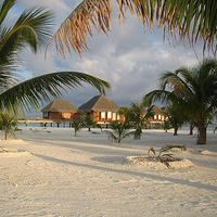 【首页帖】〓马尔代夫蜜月游〓绝美莉莉岛Lily