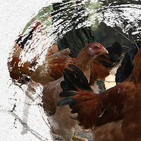 ͣژϵɽurֻͣ㽭Ϻ]