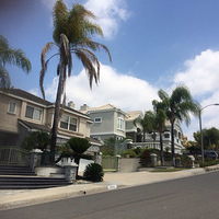 33岁孕妇分娩前破举重记录-准妈妈论坛-杭州1