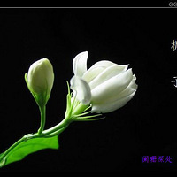 当<em>穿越</em>炮灰女主VS重生真命<em>女配</em> 谁是王道《修