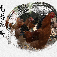 ͣژ(sh)ϵɽu|(zh)(x)ār1.7