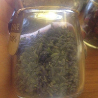 յ19ھӆُõ廨޹²ðŶx19