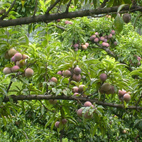 惊!天猫超市卖假货?-我为零食狂-杭州19楼