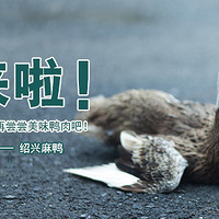 ᡿19(lin)ֶп(bo)rع Bd58Ԫ