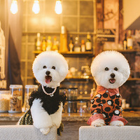 我家俩萌娃, 爱猫爱到无可救药-家有宠物-杭州