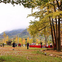 杭州文艺风摄影工作室转让出租-19摄区-杭州1