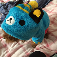 寻狗,酬金五千 丢于杭州转塘双浦镇 玩具-家有