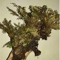 学生家长,还说我想你的大白腿-早知道-杭州1