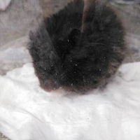 90后学生情侣楼道门引爆网络-手机随手拍-杭