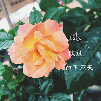 ·^һλ?sh)TNĻ_ĺ