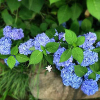 һ·߁һ·ʢ_