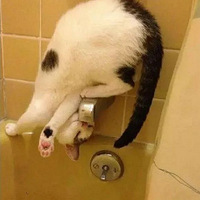 ҪԇD؈뷨h(yun)벻ͨ