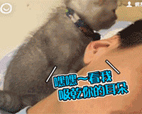 ؈ж㣿@ӵ