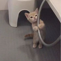 ؈䱧סˮۜI˼ܲϴ費