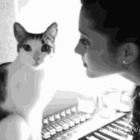 ٿ@ȷĬF(xin)؈ӂゃfõĸ