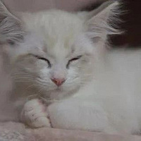 W(wng)ѵ؈Сr(sh)ë٣ȥY(ji)t(y)@f...