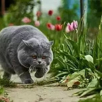 쿴^ɫiLú؈