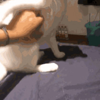 ˸PʺдˇPʺʹؼһƔ