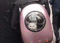 ͑؈jPʺ߀̫