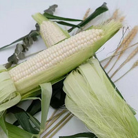Եˮ