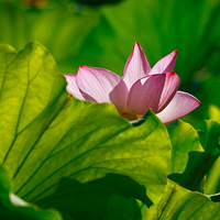 ���뷱�����ޣ�������һ����ˮ�������յ����ң����������ɾ���