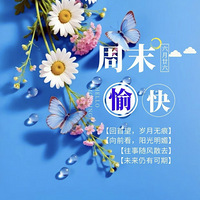 8��8�գ��Ļ�������������������