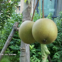 ��ˮ�������顪����ˮ����һ���õط�