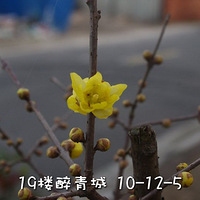 С������÷������