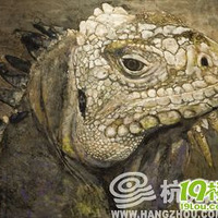 初中生活图片 高中生活图片[第13页]-中学教育