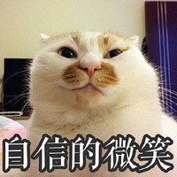 胸围惊人的女星(组图)