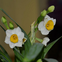 雾霾天<em>男子</em>把<em>胸罩</em>当口罩<em>戴上街</em> 这才是真正屌