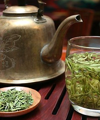 "安吉白茶的功效与作用"