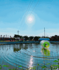 15.9�����߲ʻ�����Ʊ����Ķ�����������죬��һ�۾����ݣ�