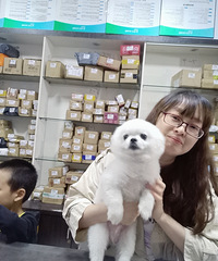 ����δ��MM