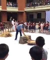 学校搬了新校区,操场里有稻田,教学楼顶是菜园