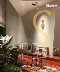 无意中发现的一家店,环境很好,人均消费也不高
