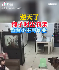 ⹷ɾˣӵ¼ܣලСдҵ