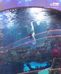 �ǹ�68Ͷ��2�ڴ����360��ȫ��ˮ��ݣ�����8��12������