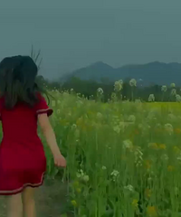 90��162CM��ˮƿ��С������飬��߻��᰸ʦ