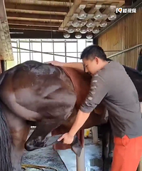 91��163CMҽ����ӭ��˫�����������飬�Ȱ���ʳ��ϲ������