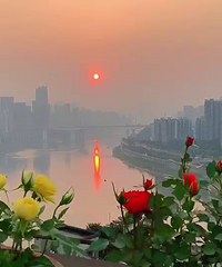 来看看我家的屋顶花菜园,坐拥重庆最美夕阳,江景夜景统统都有