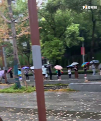 疫情下的周末会是排队核酸栽回家给鱼缸换水,宅在撸猫看华仔直播