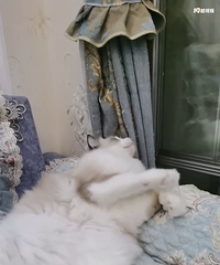 90��165CM��С������飬���»�������������