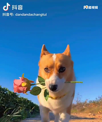 84年174CM房地产行业的给咱征婚,性格直爽大气不拘小节