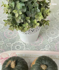 ��ص�һ�죬Ӧ�ھ�֮���ʹ������ʳ