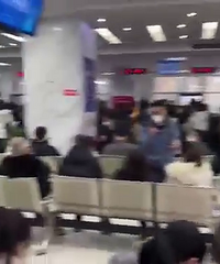 �������ƺ������