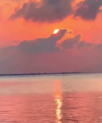 һ����Ҳ�кúú������Ҫָ����ȸ��ɵúܸ�